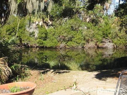 lagoon view from cottage : a wildlife sactuary with egrets, herons, pelicans, and many other waterfo