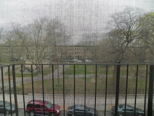 Rented by Choice NY Property Management LLC | media 31