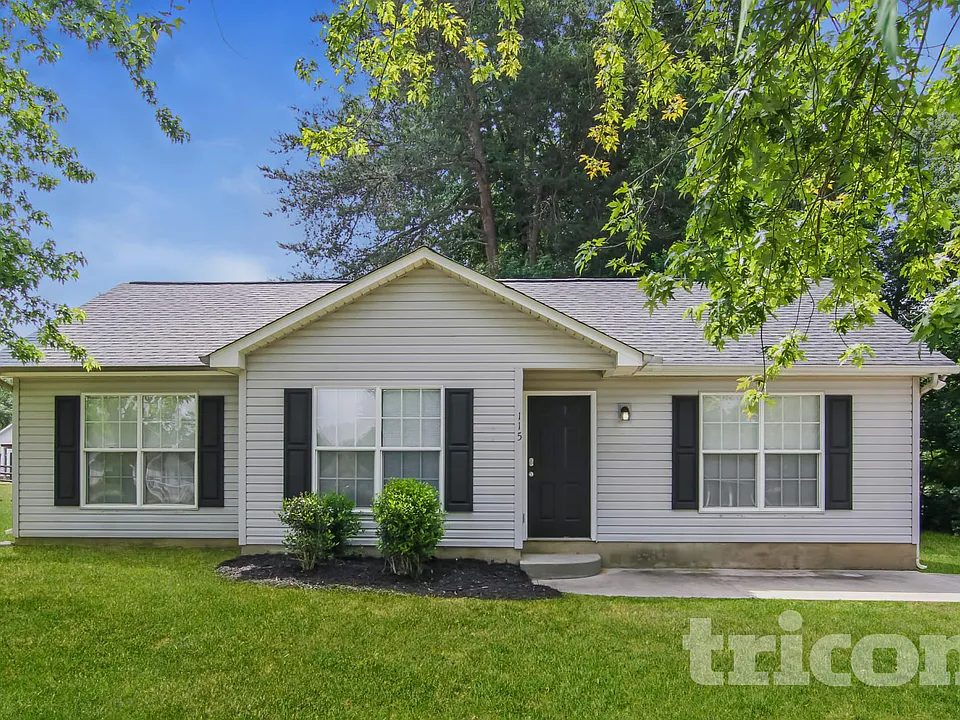 115 Shenandoah Loop