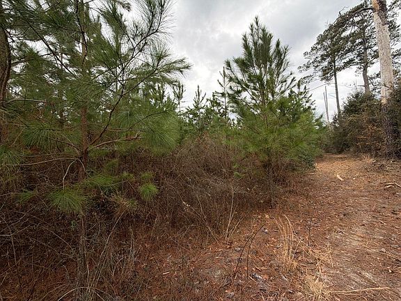 3rd image of Bff Ii 4 J C Barefoot Rd