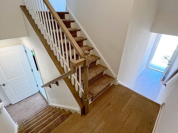Foyer - Stairs (Hardwood and carpet runner)