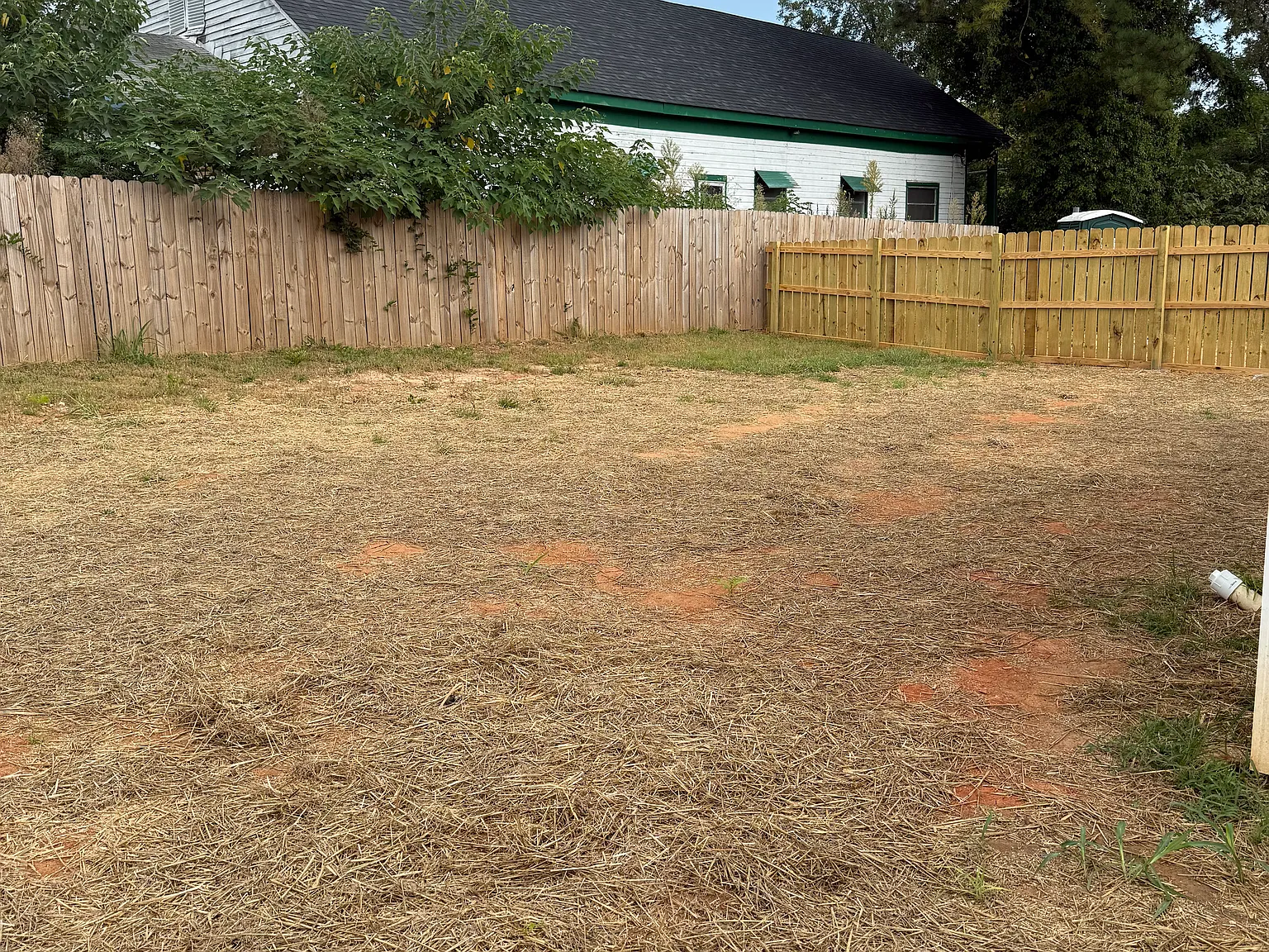 1753 Old Savannah Rd — Photo 3