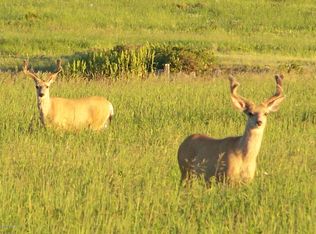Logging Creek Rd, Monarch, MT 59463