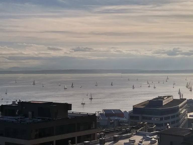 view from unit