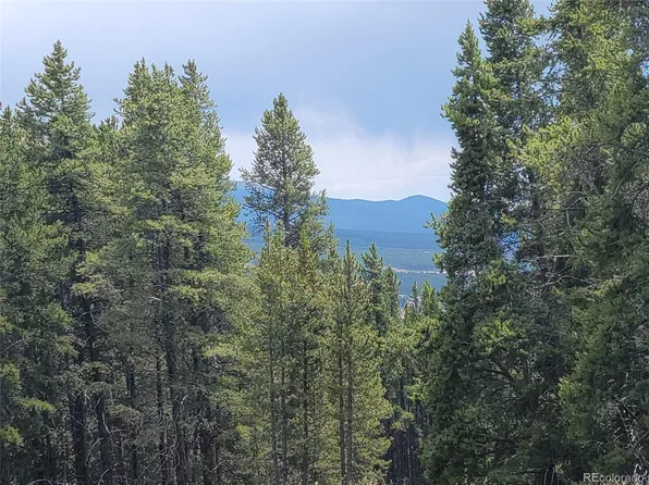 3529 Wilder, Leadville, CO 80461