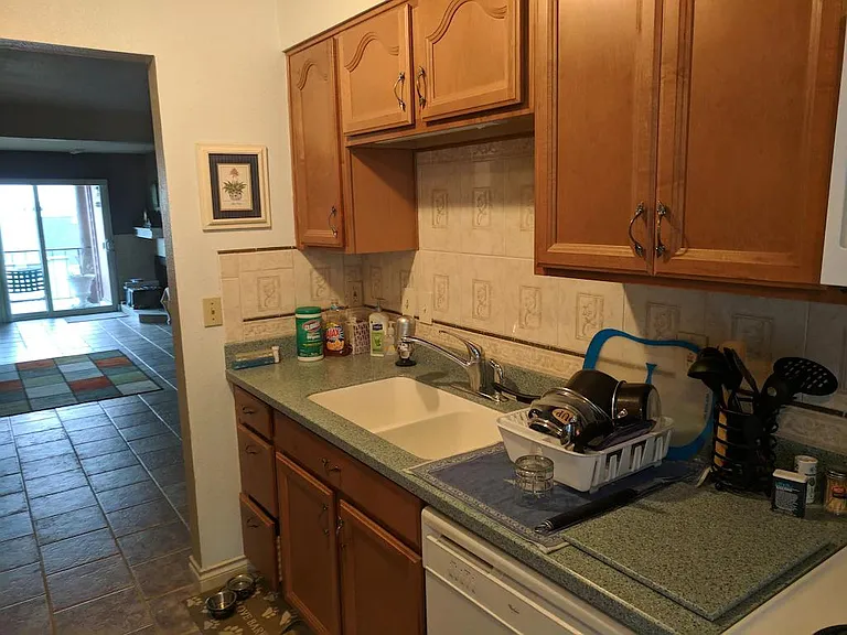 Kitchen sink and dishwasher, counter cabinets, countertops.
