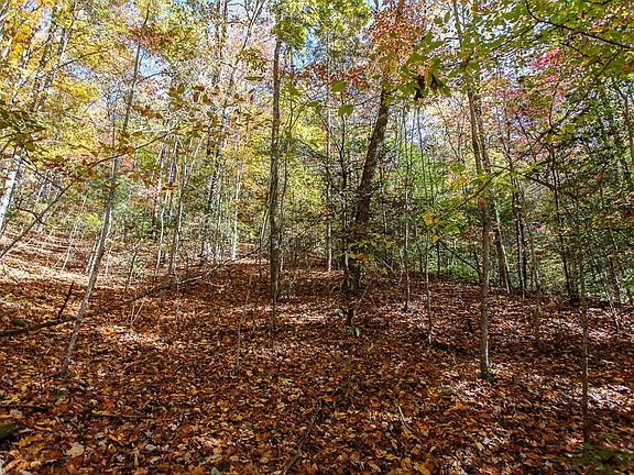 5th image of 99999 Watia Rd