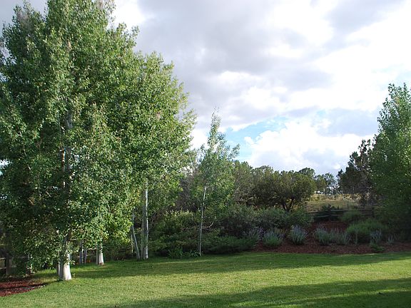 Backyard - Aspen Grove