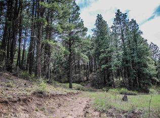 548 Bear Creek Cir, Bayfield, CO 81122