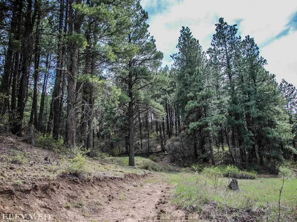 548 Bear Creek Circle, Bayfield, CO 81122