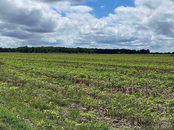 2nd image of 5700 Pine Forest Rd