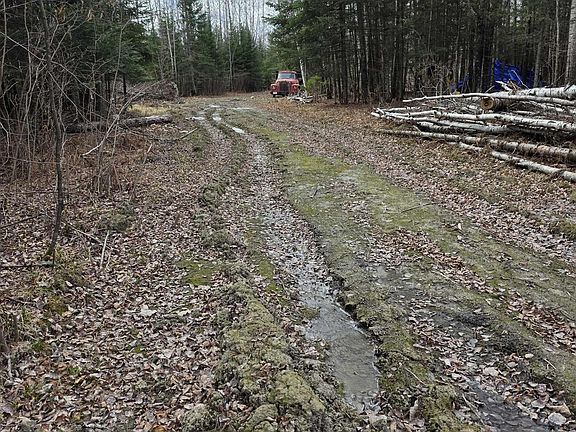 3rd image of 10918 Oja Rd