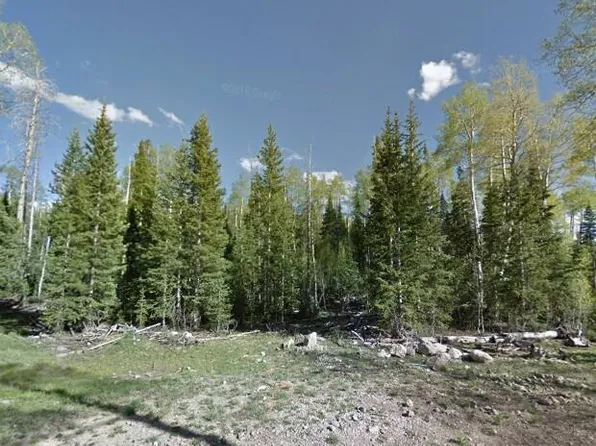 248 E Mountain View Dr, Brian Head, UT 84719