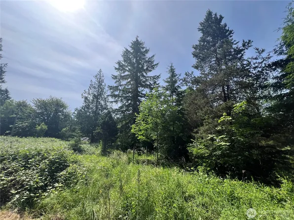 1515 W Franklin Street, Shelton, WA 98584