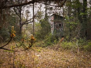 Smith & Peters Rd, Poplarville, MS 39470