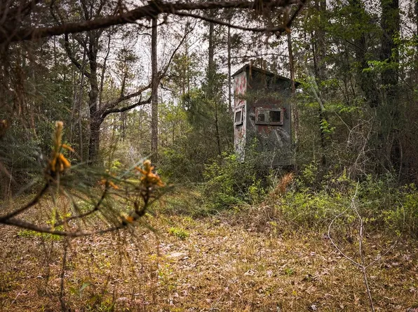 Smith & Peters Rd, Poplarville, MS 39470