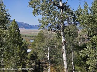 77 Black Bear Ln, Alpine, WY 83128