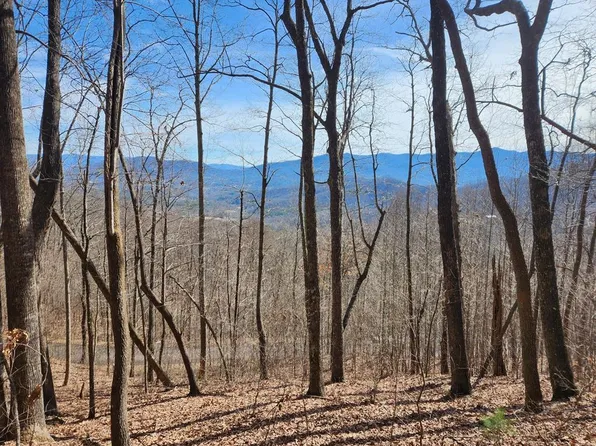 28 Overlook Loop, Young Harris, GA 30582