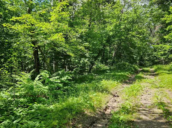 Lots 50 53 Snoquainie Ln, Pequot Lakes, MN 56472