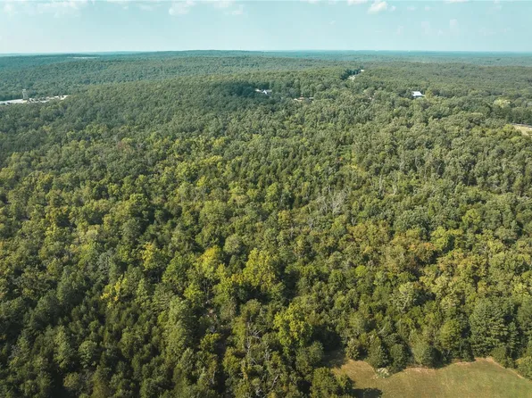 16265 Walnut Dr, Plato, MO 65552