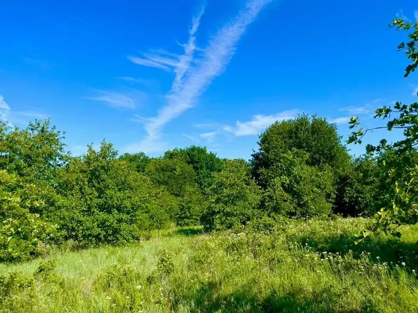 LOT 53 Wicklow Ct, Poolville, TX 76487
