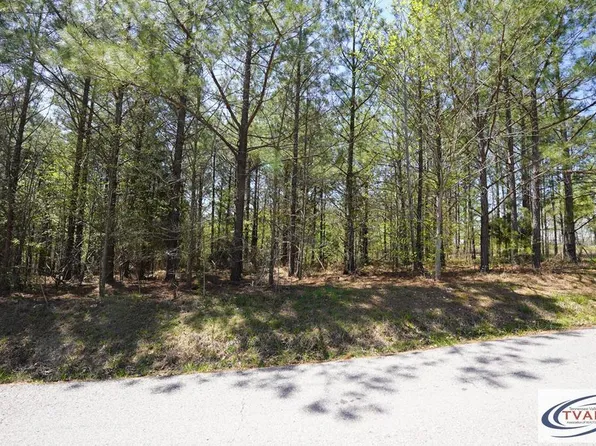 4 Onion Hill Rd, Dover, TN 37058