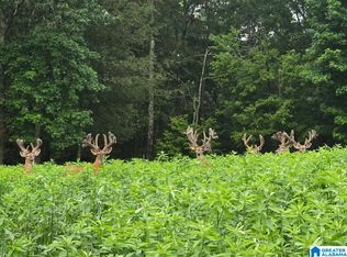 0 Guinns Cove Rd #1, Hayden, AL 35079