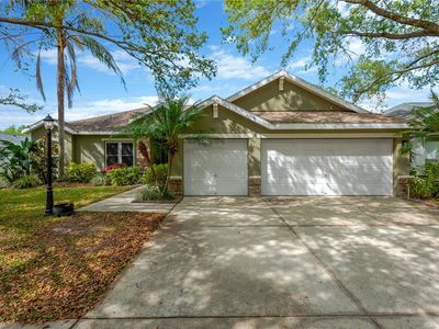 1166 Lumsden Trace Cir, Valrico, FL, 33594