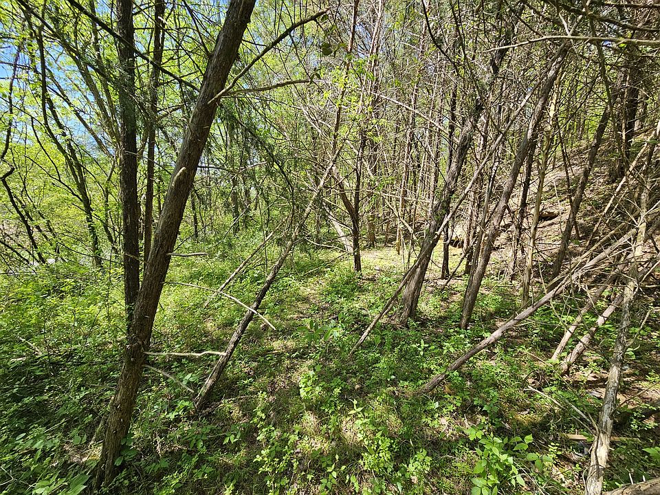 2nd image of 0 Newman Rd