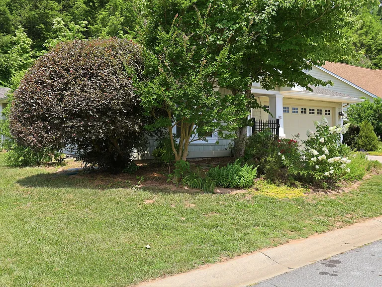 Space to garden