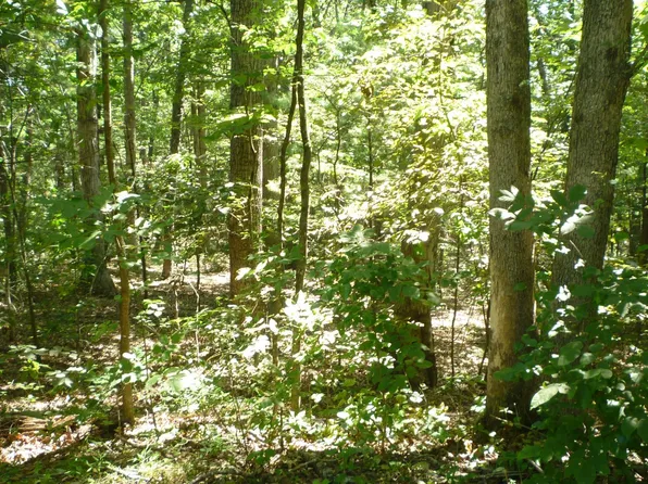 95 Willow Ln, Mount Jackson, VA 22842