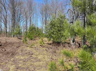 0 Landis Rd, Thompsonville, MI 49683