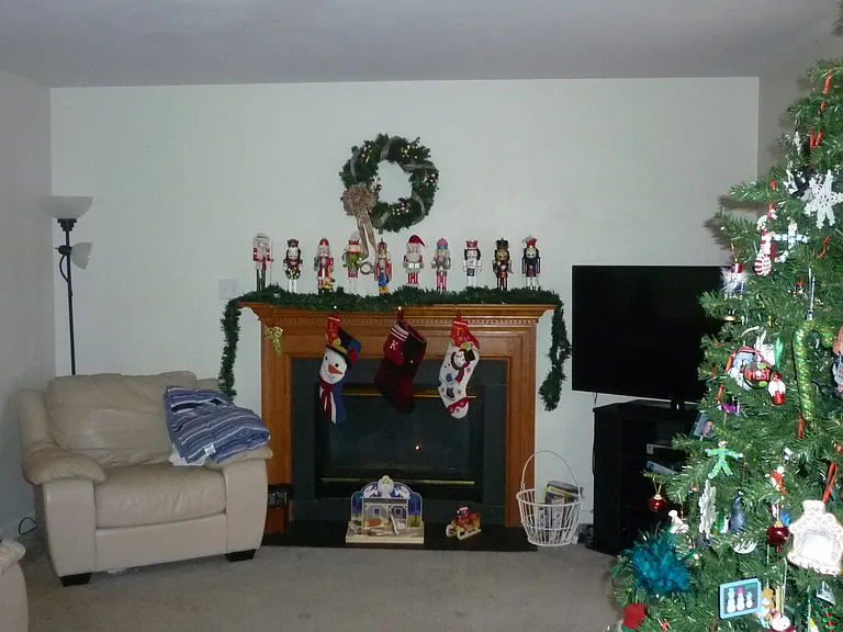5633 Lake Sharon Dr — Photo 6