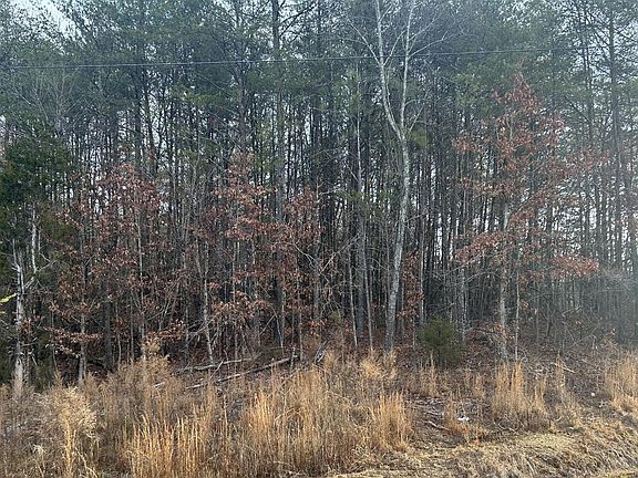 2nd image of 0 Parker Loop Rd
