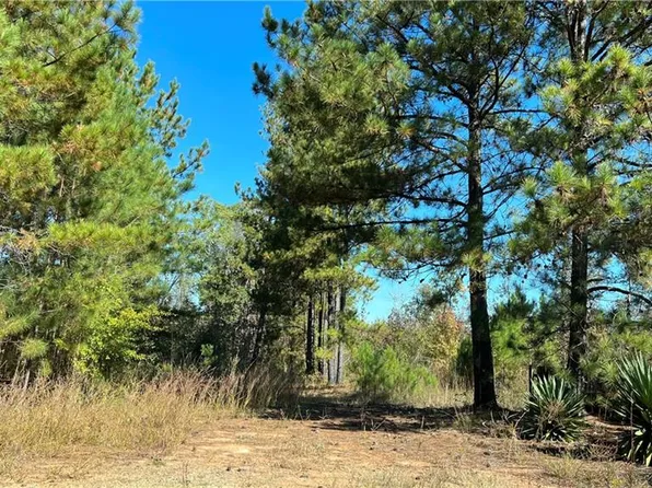 0 Glazier Rd #205, Senoia, GA 30276