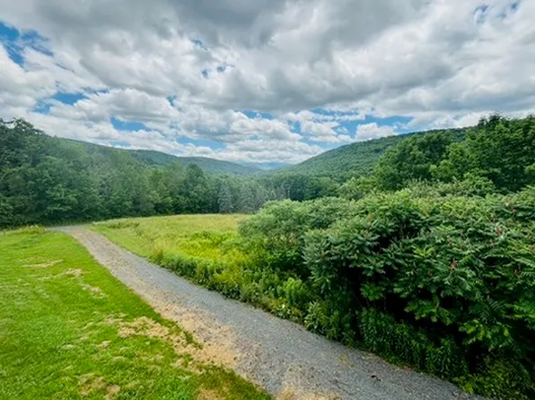 49204 State Highway 30, Roxbury, NY 12474