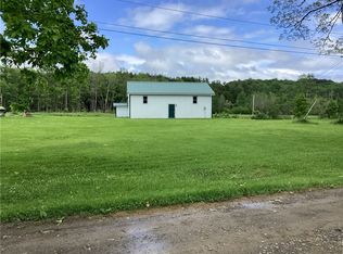 117 Wrench Ln, Bainbridge, NY 13733