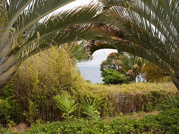 Views to Maui Island