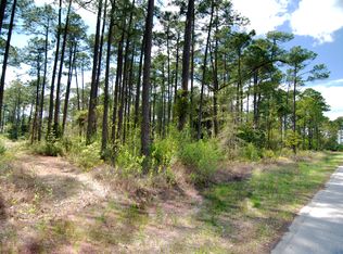 LOT H19 Driftwood Point Rd, Pt Washington, FL 32459