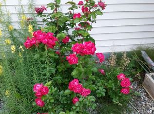 2270 S Valley Loop, Wasilla, AK 99654