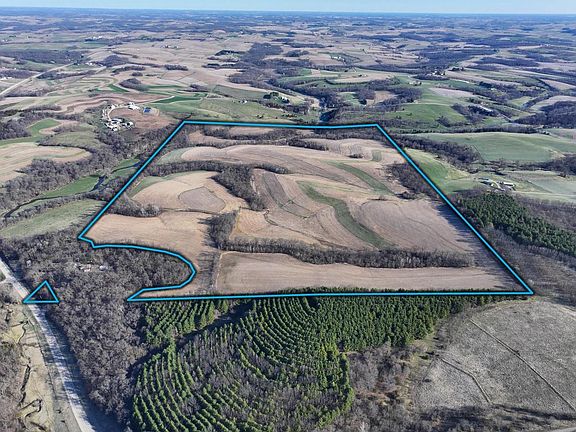 2nd image of 229.98 Acres Whitcomb Lane