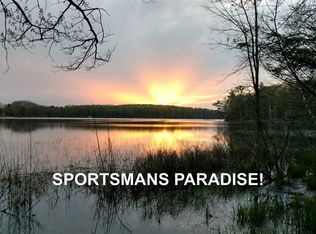 7600 Chapman Rd, Bellaire, MI 49615