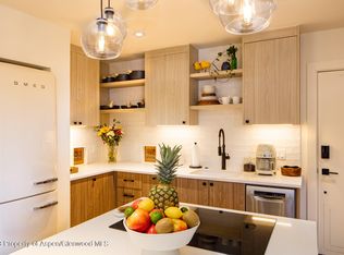 819 E Hyman Ave APT 7, Aspen, CO 81611