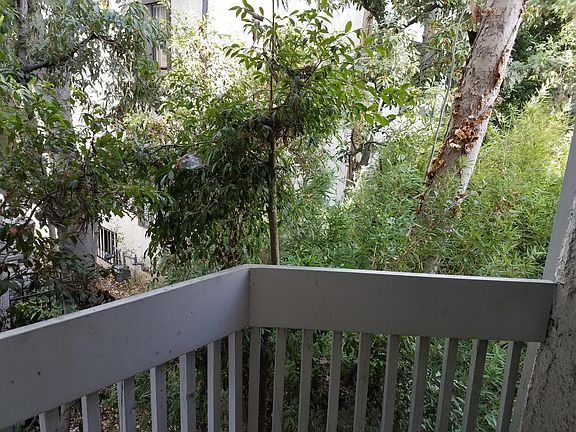 Back patio view
