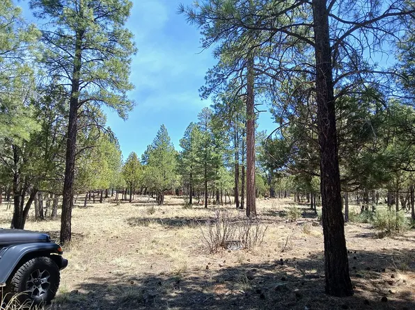 2513 Pine Crest Dr, Happy Jack, AZ 86024