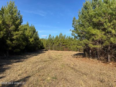 254 Mississippi #27, Tylertown, MS, 39667