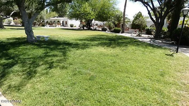 1 bed, 588 sqft, $1,000 — Photo 3