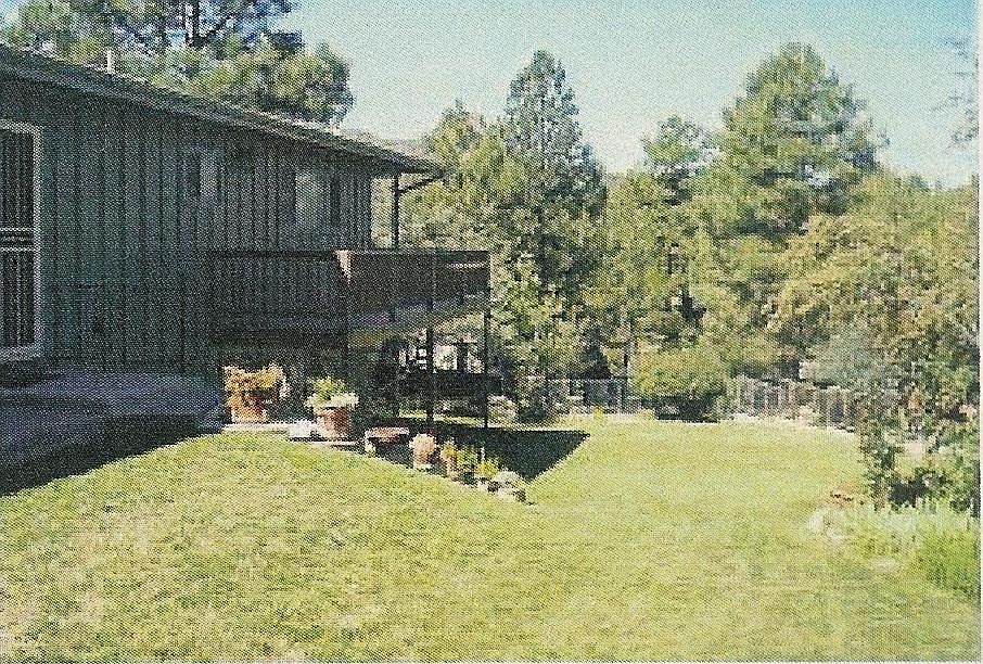 Back yard