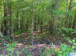 34 Cheyenne St, Springville, AL 35146