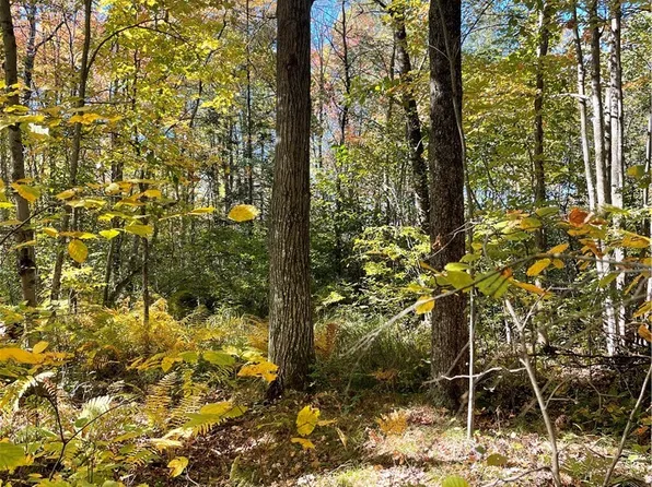 40 Acres 136th Street, New Auburn, WI 54757
